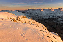 Mountain hare tracks in snow on Am Bodach, looking south east to Stob nan Cabar and Buachaille Etive Beag, Glen Coe, Lochaber, Scotland, UK, November