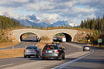 Overpass across busy highway to provide a wildlife corridor, Banff National Park, Alberta, Canada, June