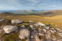 Scattered boulders on upland heath. Looking north towards Glenmore Forest and Loch Morlich from flanks of Lurchers Crag, Cairngorms National Park, Scotland, UK, March