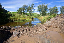 Excavation works being carried out along river as part of re-naturalisation of river course to reduce flooding. Part of Eddleston Water Project led by Tweed Forum, Peebles, Tweeddale, Scotland, UK, Ju...