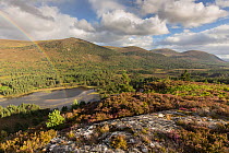Inshriach Forest and Loch Gamnha, view south east from Creag Chait, Invereshie, Cairngorms National Park, Scotland, UK, August 2016.