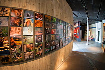 Wall of photos  by Magnus Elander  and Staffan Widstrand at the Big Five  Carnivore Information Centre. The exhibition explores man's complex relationship with big carnivores in Sweden.