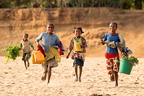 Children running towards a river to collect water, Berenty Private Reserve, southern Madagascar August 2016.