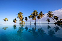 Coconut palm  (Cocos nucifera) trees reflected in pool of hotel with sea beyond, Anjajavy Private Reserve, north west Madagascar, September 2016.