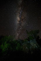 Night sky showing milky way over trees, on a beach, Anjajavy Private Reserve, north west Madagascar, August 2016.
