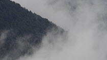 Clouds moving in front of a mountain slope, Ordesa y Monte Perdido National Park, Spain, April.