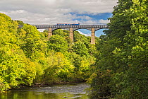 Barge crossing Pont Cysyllte Aqueduct, which takes the Llangollen canal, across the River Dee, Vale of Llangollen, near Trevor, North Wales, UK, September 2016.