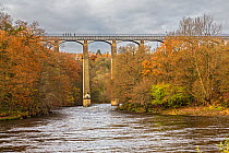 Pont Cysyllte Aqueduct taking the Llangollen canal across the River Dee in the Vale of Llangollen near Trevor North Wales UK November 54161