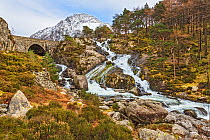 Ogwen Falls near Idwal Cottage, with the bridge over A5 main road on the left, and Tryfan mountain in the background, Snowdonia, North Wales, UK, March.