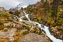 Ogwen Falls near Idwal Cottage with the bridge over A5 main road on the left and Tryfan mountain in the background, Snowdonia, North Wales, UK, March.