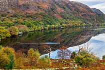 Reflections in Llyn Dinas with fishermen in a boat, Nant Gwynant valley, Beddgelert, Snowdonia, North Wales, UK, October.