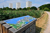 Map of urban nature reserve with tower blocks in distance, Woodberry Wetlands, formally Stoke Newington Reservoirs, Hackney, England. UK, August 2016.