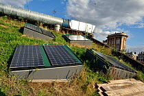 Solar panels set into green roof, Shoreditch, London Borough of Hackney, England, UK, September 2015.