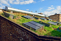 Solar panels set into green roof, Shoreditch, Hackney, England, UK, September 2015.