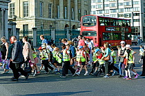 Group of school children wearing high visibility jackets crossing the road, sometimes called walking bus, Hyde Park Corner, London, UK, June 2015.