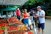People buying tomatoes from stall Alexandra Palace Farmers Market, Haringey, London, UK, August 2014.