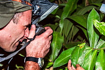 Photographer taking pictures of Red-eyed Leaf Frog (Agalychnis callidryas) Costa Rica, March 2013.