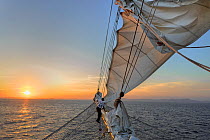 Sailing ship Starflyer (Star Clippers fleet)  furling sails at sunrise, Costa Rica.
