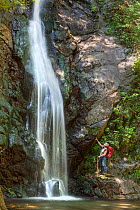 Woman looking at waterfall from 'Sila Piccola' southern escarpment, Campanaro Waterfall, Sila National Park, Parco Nazionale della Sila UNESCO World Heritage Site, Calabria, Italy,  June.