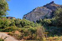 Sila Piccola, Valli Cupe canyon. Sila National Park,  Calabria, Italy.  June 2013.