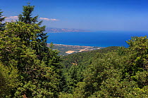 A view of Ionio Sea from the slopes of Sila Greca, Sila National Park. Calabria, Italy, June 2013.