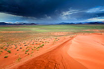 Namibia Desert landscape with rainstorm, viewed from sand dunes,. Namib Rand, Namibia, February 2011.