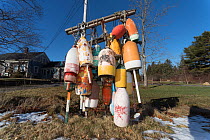 Lobster buoys decorate a front lawn in lobster fishing country. Port Clyde, Maine, USA, December 2016.