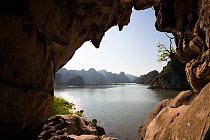 Karst cave in habitat of the Cat Ba Langurs, Ha Long Bay UNESCO World Heritage Site, Vietnam.
