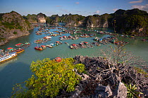 Floating fishing village,  Cat Ba Island, Halong Bay UNESCO World Heritage Site, Vietnam, December 2016.