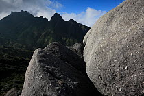 Granite boulders in the central mountainous zone of Yakushima Island, UNESCO World Heritage Site, Japan.