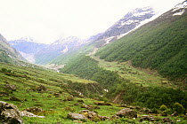 Landscape of Nanda Devi National Park and Valley of Flowers National Parks UNESCO Natural  World Heritage Site, Uttarakhand, India. Small repro only.
