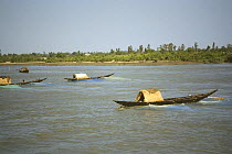 Traditional thatched wooden boats, Sundarbans National Park UNESCO Natural World Heritage Site, West Bengal, India. Small repro only.