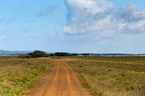 Dirt track  in St. Lucia Game Reserve, iSimangaliso Wetland Park UNESCO World Heritage Site,   South Africa