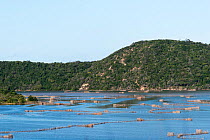 Fish traps in  St Lucia Game Reserve, iSimangaliso Wetland Park UNESCO Natural World Heritage Site, South Africa