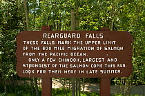 Information sign about Rearguard Falls, the upper limit of the Fraser River salmon run, Rearguard Falls Provincial Park, British Columbia, Canada