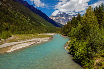Robson creek, a glacier melt water stream in Mount Robson Provincial Park, Canadian Rocky Mountain Parks UNESCO World Heritage Site, British Columbia, Canada, July