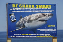 'Be Shark Smart'  information / warning sign about Great White Sharks (Carcharodon carcharias),  Cape Cod, Massachusetts, USA, August.
