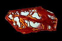 Jasper, 'Noreena jasper', silicified pelite, (mudstone) late Archean age, from Hamersly basin, Western Australia