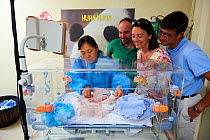 Rodolphe Delord, Managing Director, his sister Delphine Delord, Marketing Manager, and Baptiste Mulot, Chief veterinarian, and He Ping, the keeper, looking at the newborn Giant panda (Ailuropoda melan...