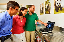 Rodolphe Delord, Managing Director, his sister Delphine Delord, Marketing Manager, and  Baptiste Mulot, Chief veterinarian, looking at the ultrasound scan of panda twins, Beauval Zoo, France. August...