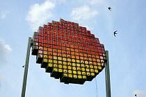 Swift tower with nest boxes for up to 100 pairs of Common swifts (Apus apus) designed as a public art work to look like a setting sun, with swifts flying overhead, Logan&#39;s Meadow Local Nature Rese...