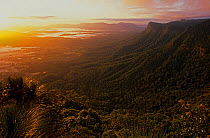 Rim of ancient volcanic crater, Border Ranges National Park, Gondwana Rainforest UNESCO Natural World Heritage Site, New South Wales, Australia.