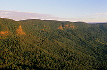 The rim of the ancient volcanic crater, Border Ranges National Park, Gondwana Rainforest UNESCO Natural World Heritage Site, New South Wales, Australia.