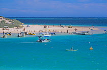 Coral Bay, Ningaloo Coast UNESCO Natural World Heritage Site, Western Australia, Australia.