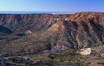 Charles Knife Canyon, Cape Range National Park, Ningaloo Coast UNESCO Natural World Heritage Site, Western Australia, Australia.