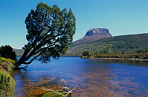 Barn Bluff with Lake Will, Lake St. Clair National Park, Tasmanian Wilderness UNESCO Natural World Heritage Site, Cradle Mountain, Tasmania, Australia.