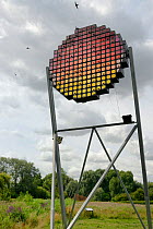 Swift tower with nest boxes for up to 100 pairs of Common swifts (Apus apus) designed as a public art work to look like a setting sun, with swifts flying overhead, Logan's Meadow Local Nature Reserve,...