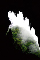 Entrance to  Deer Cave. Gunung Mulu National Park UNESCO Natural World Heritage Site, Malaysian Borneo.