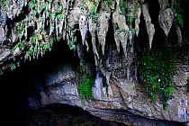 Clearwater Cave. Gunung Mulu National Park UNESCO Natural World Heritage Site, Malaysian Borneo.