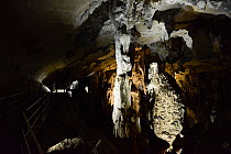 Limestone formations in Clearwater Cave. Gunung Mulu National Park UNESCO Natural World Heritage Site, Malaysian Borneo.